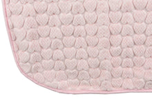 Load image into Gallery viewer, Baby&#39;s Pink Blanket
